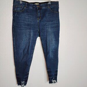 Avenology by Avenue Distressed Stretch Plus Size 20 Average Jeans